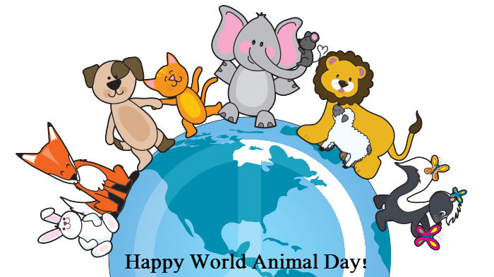Image result for animals day
