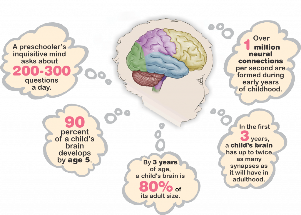 90% of child's brain develops